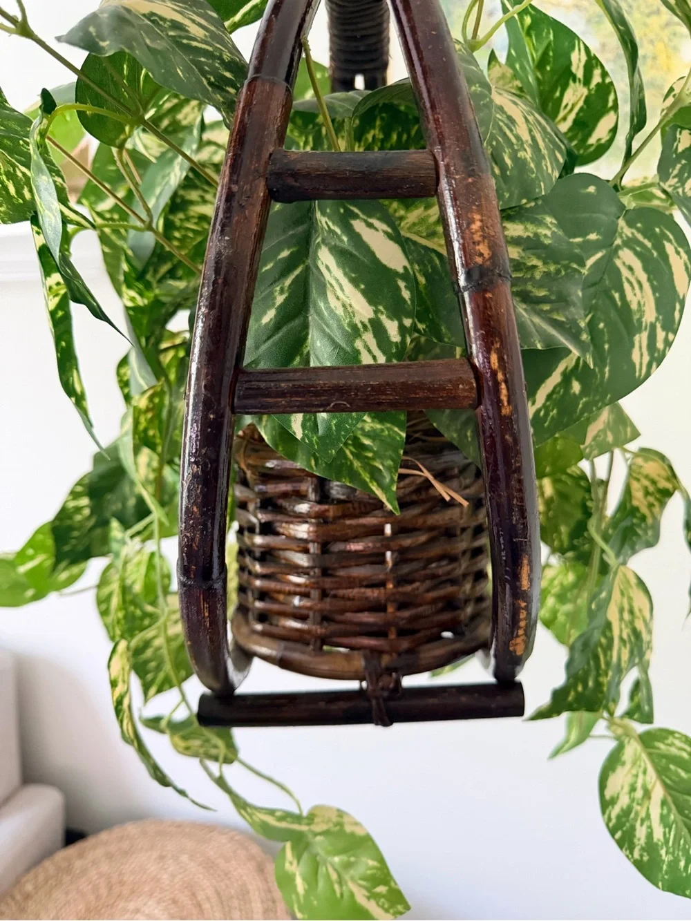 Variegated Green Pothos Hanging Basket - Decorative Home Accent